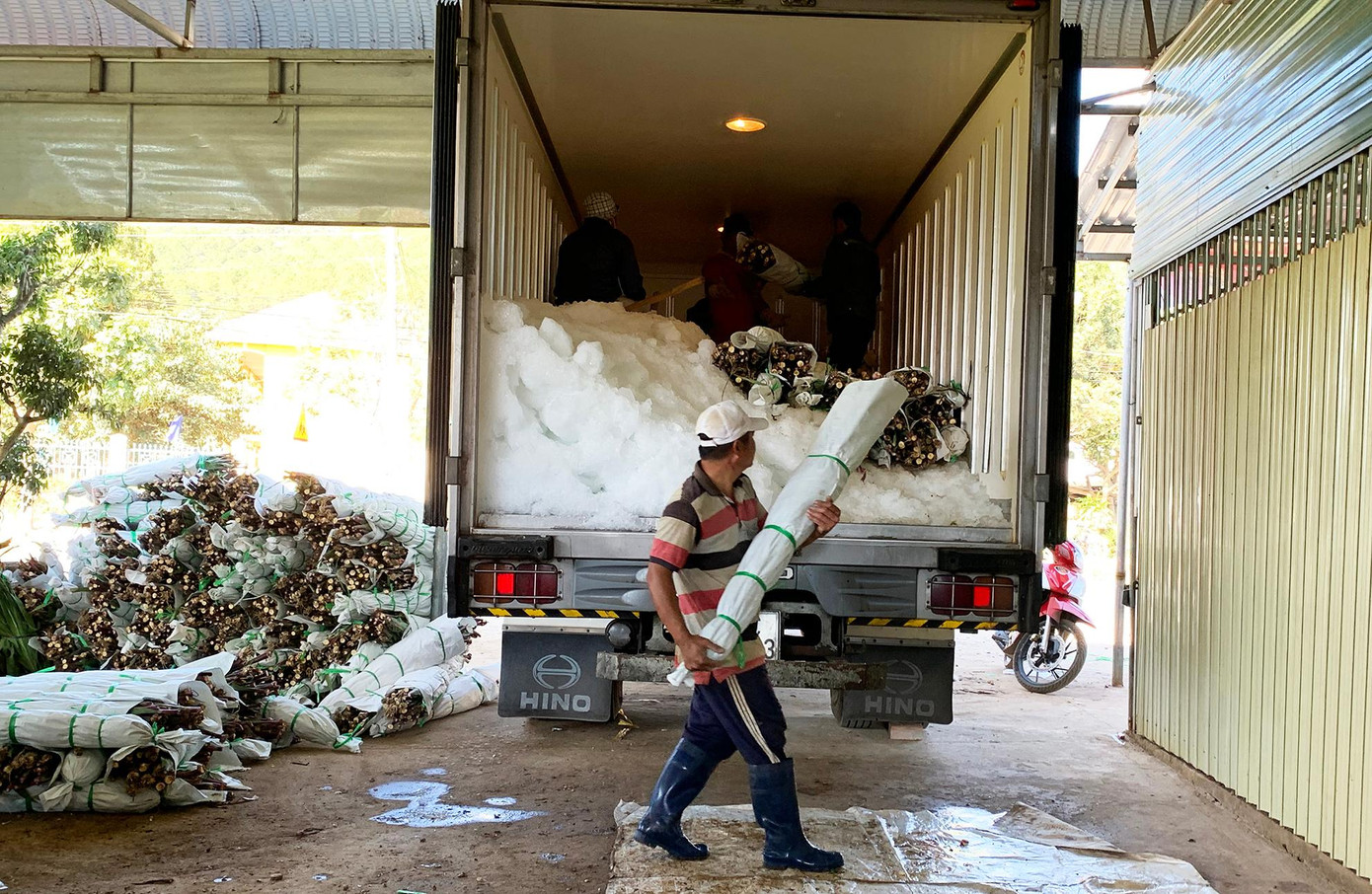 Chất hoa lên xe đông lạnh để chở đi địa phương khác tiêu thụ