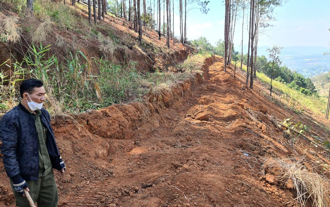 Dùng xe cơ giới mở đường vào cánh rừng vừa bị triệt hạ để lấn chiếm đất Dùng xe cơ giới mở đường vào cánh rừng vừa bị triệt hạ để lấn chiếm đất