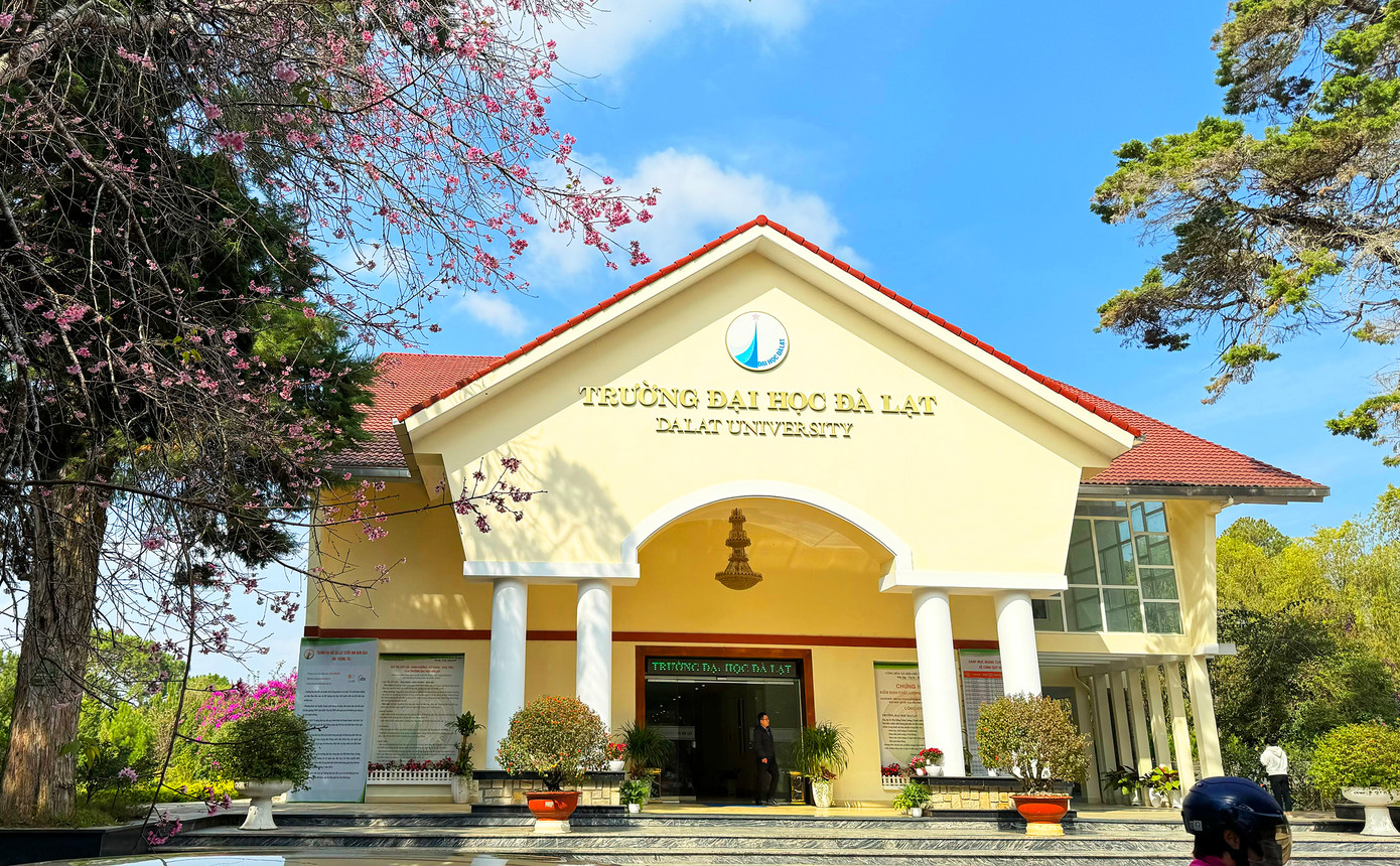 Đại học Đà Lạt được xây dựng cách đây gần 70 năm, nổi tiếng với không gian xanh mát rợp bóng thông, tùng, khuynh diệp... Hàng chục công trình lớn, nhỏ ẩn hiện trong rừng thông, bên hàng cây cổ thụ hay những con dốc quanh co uốn lượn.