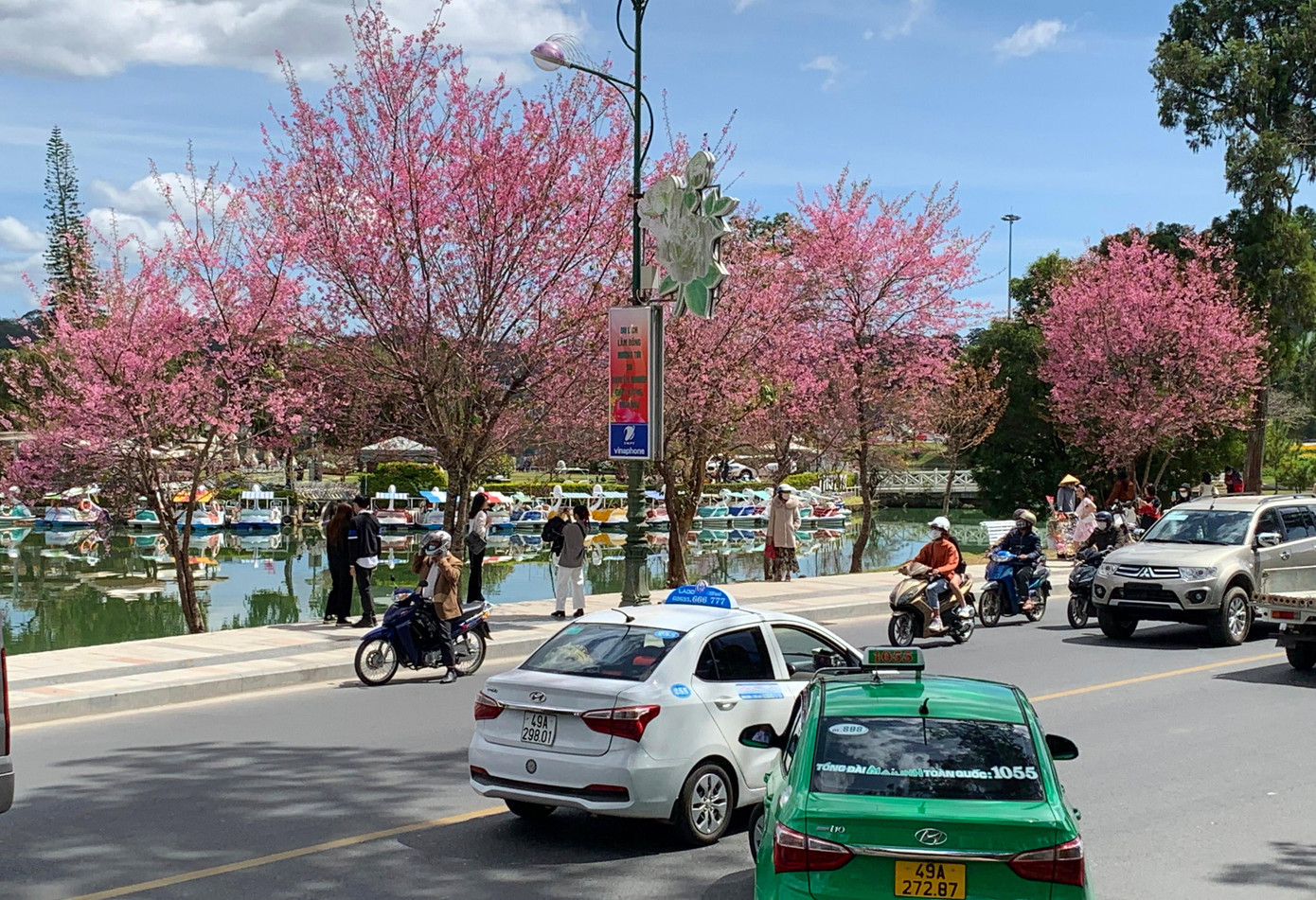 Nhiều bạn trẻ say sưa chụp ảnh trên đường Nguyễn Thái Học