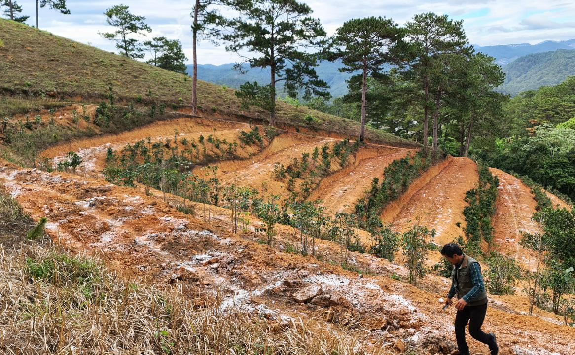 Đất rừng bị san ủi, giật cấp, tạo mặt bằng để sản xuất nông nghiệp