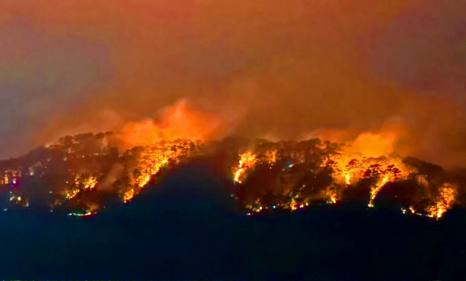 "Biển lửa" đỏ rực trong vụ cháy 10ha rừng thông Đà Lạt.