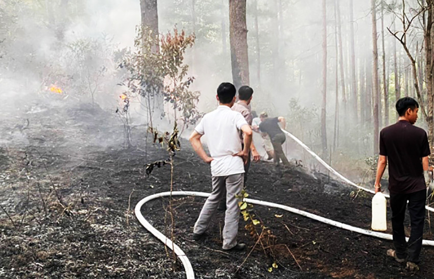 Nhiều lực lượng được huy động để chữa cháy.