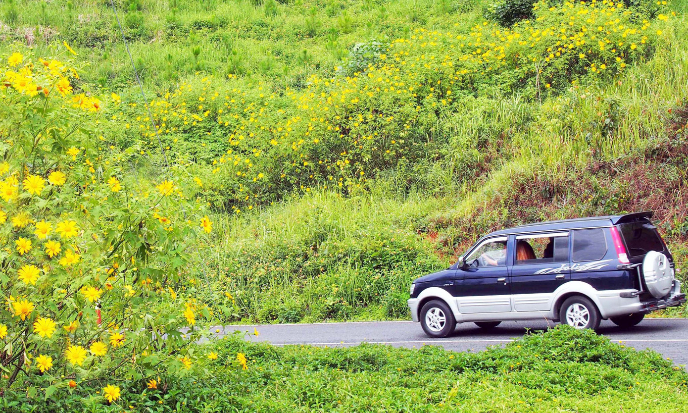 Hoa rực rỡ trên cung đường Tuyền Lâm