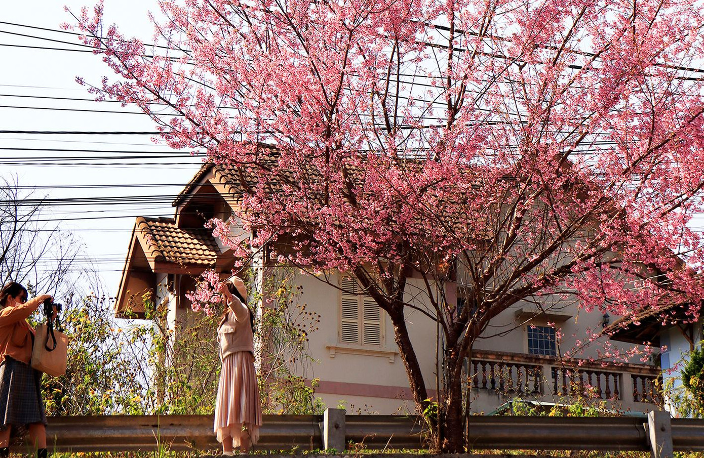 Dây điện chằng chịt trên tuyến phố đẹp của Đà Lạt