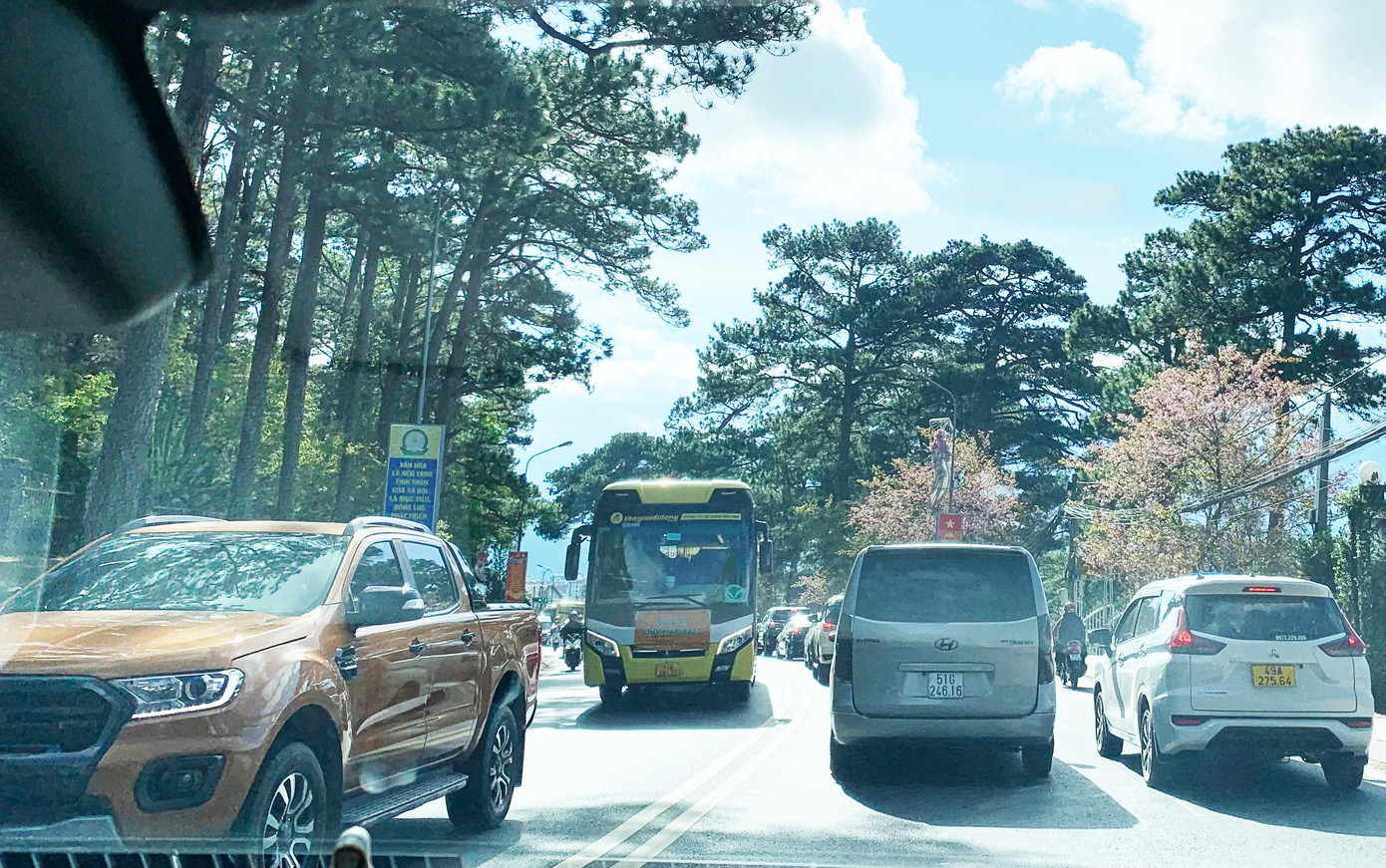 Tuyến đường hoa đào nở rộ nhất Đà Lạt và cũng có mật độ phương tiện giao thông dày đặc Tuyến đường hoa đào nở rộ nhất Đà Lạt và cũng có mật độ phương tiện giao thông dày đặc