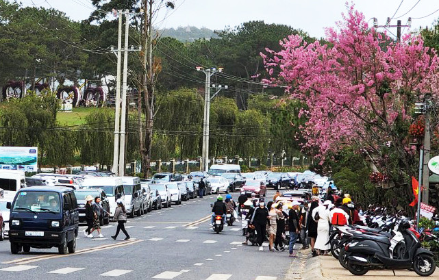 Xe cộ di chuyển rất chậm trên đường Mai Anh Đào vì khu vực này có nhiều khu du lịch