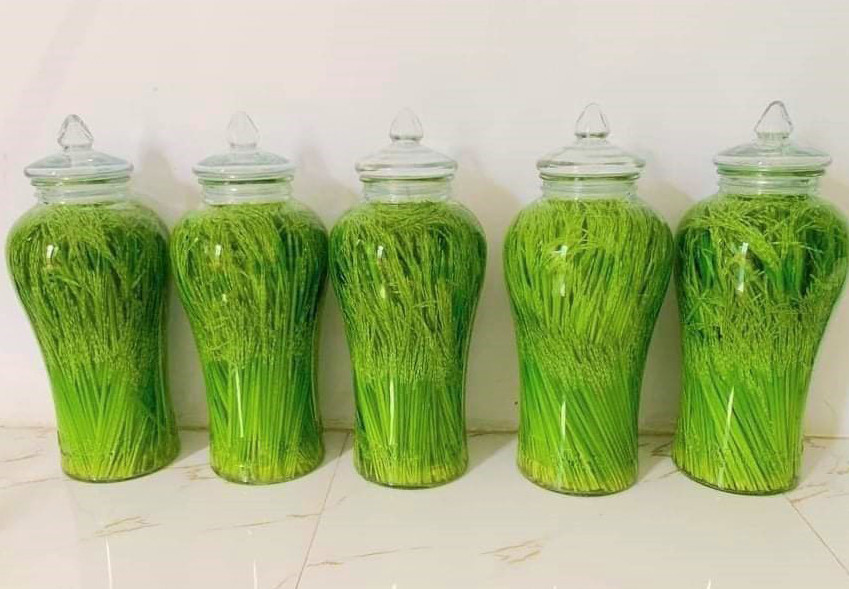 Rượu nếp Quýt Rượu nếp Quýt