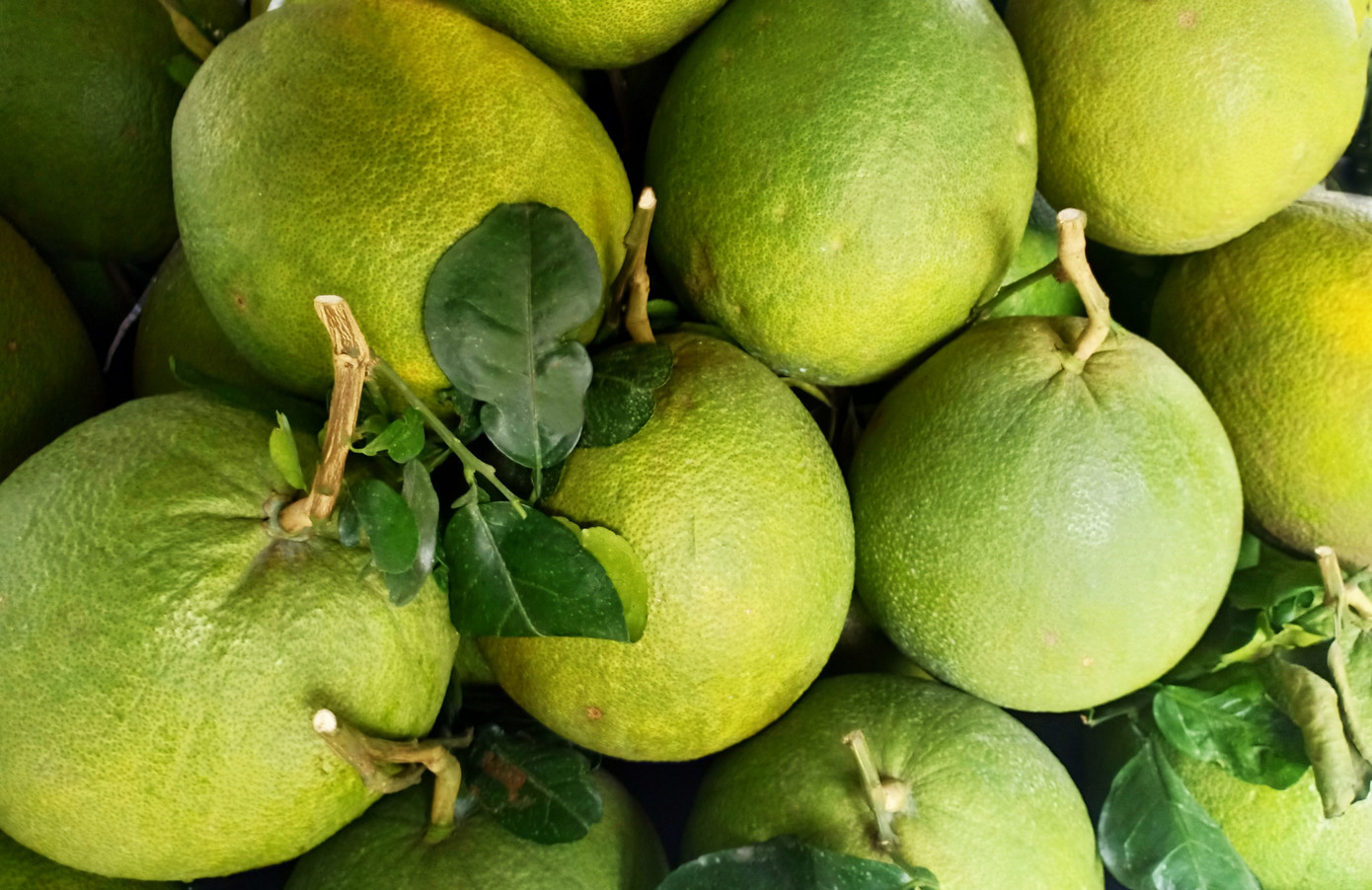 Bưởi da xanh Bưởi da xanh