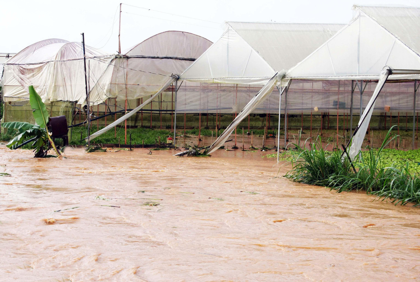 Nhà kính lấn ra suối Nhà kính lấn ra suối