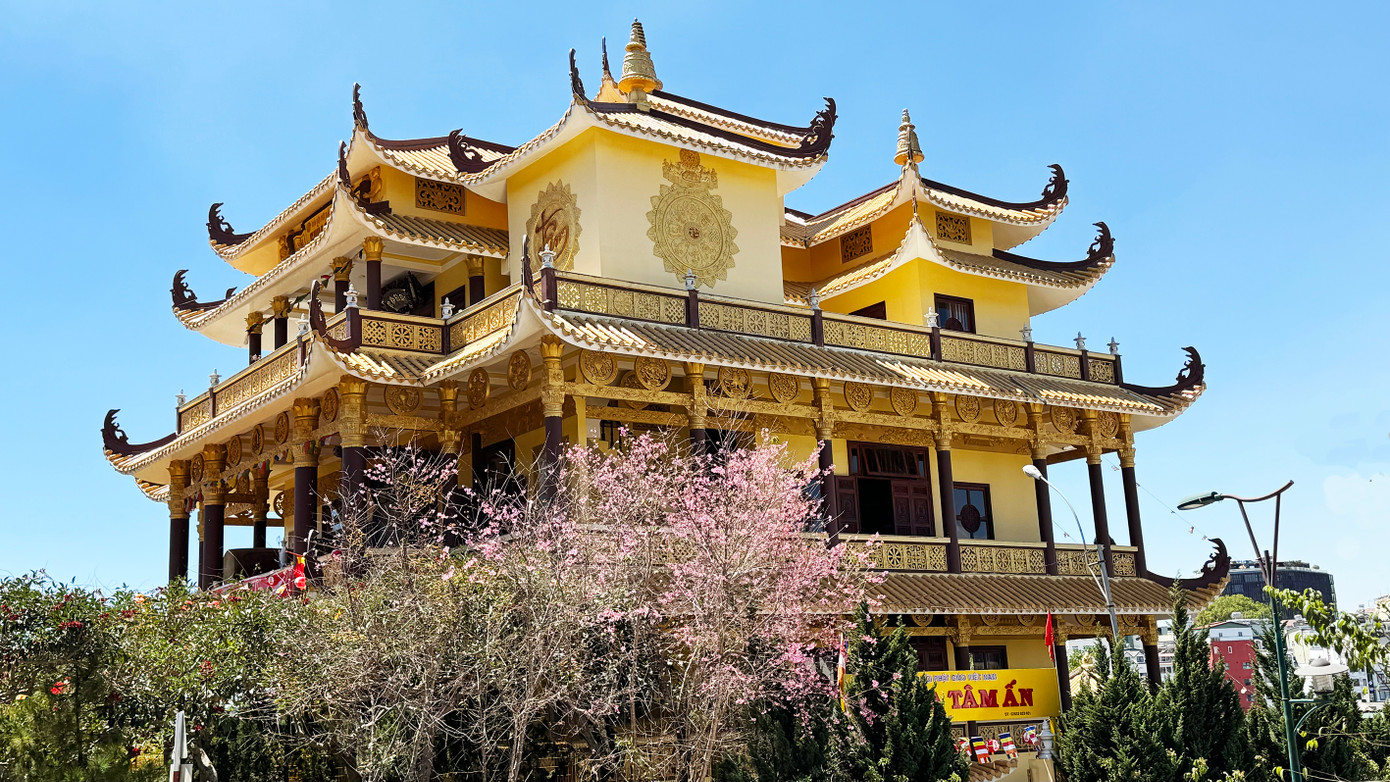 Những ngôi chùa thắm sắc mai anh đào