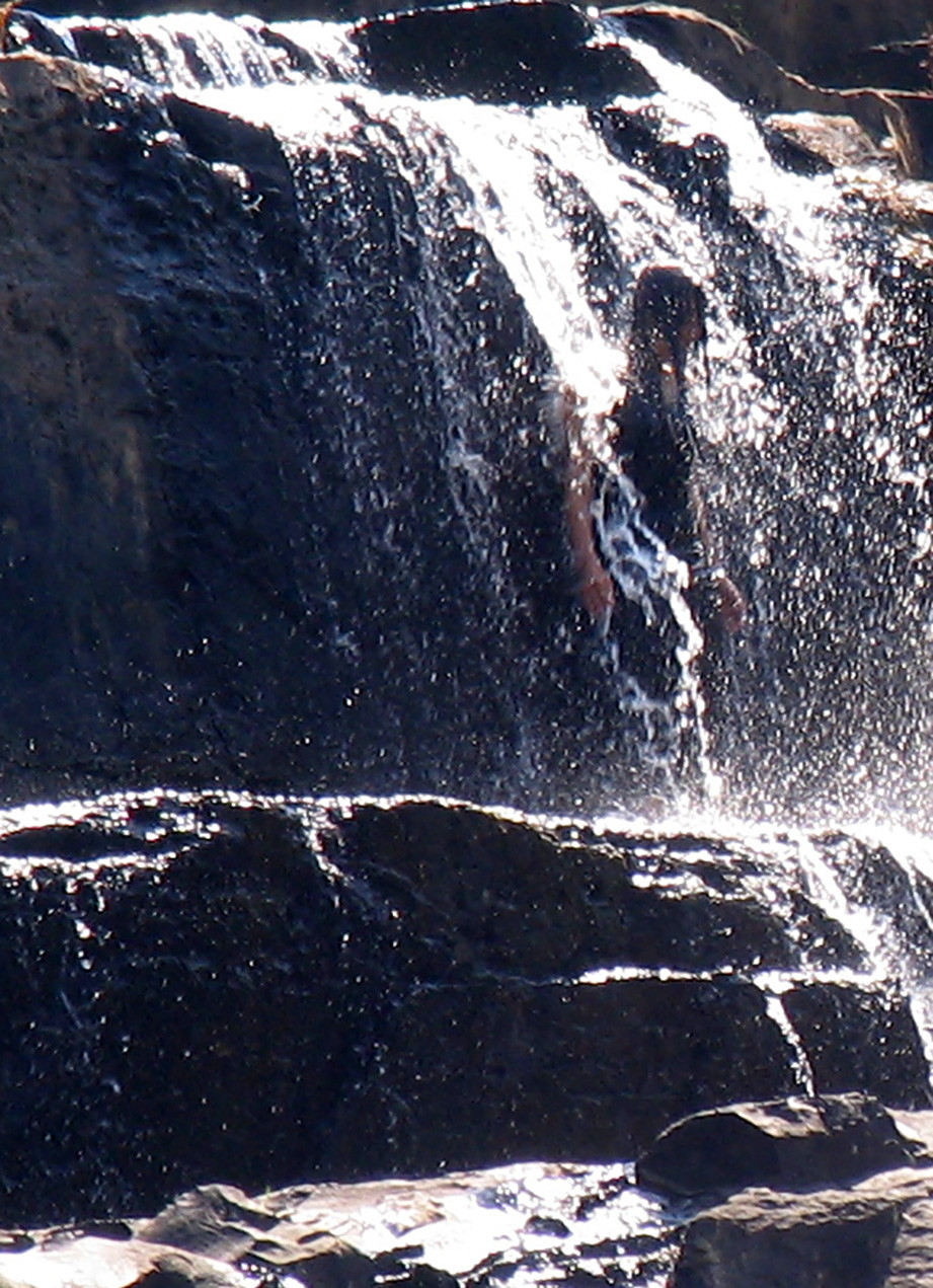 Tắm mình trong dòng thác