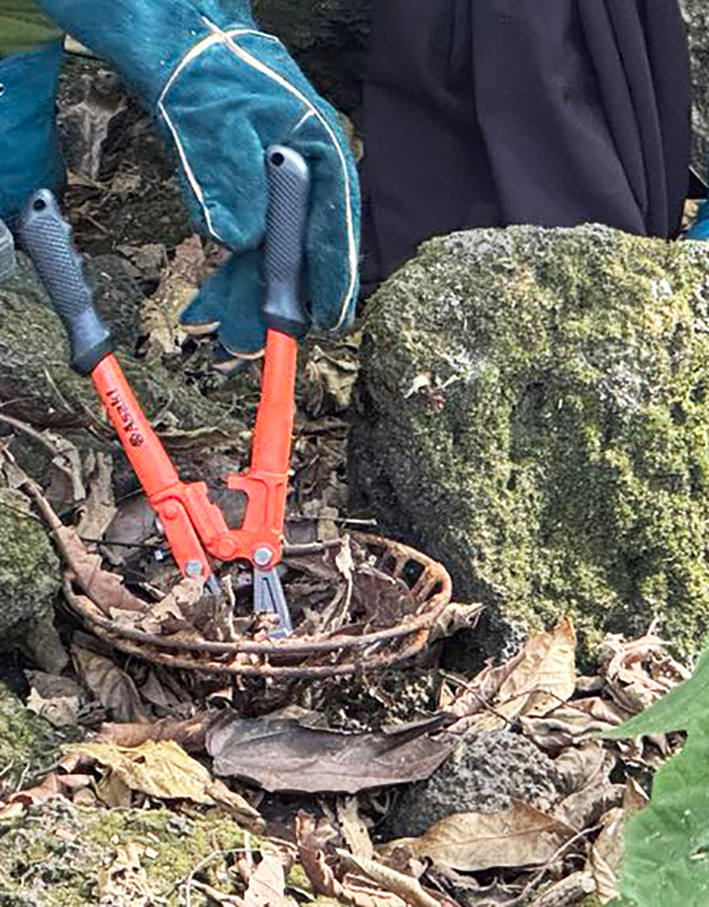 Bidoup-Núi Bà đã có nhiều hoạt động nhằm duy trì, phục hồi và bảo tồn các giá trị đa dạng sinh học của các cánh rừng tại Lâm Đồng. Một trong những hoạt động được duy trì thường xuyên là gỡ các loại bẫy mà các đối tượng lén lút cài cắm trong rừng để săn bắt thú.