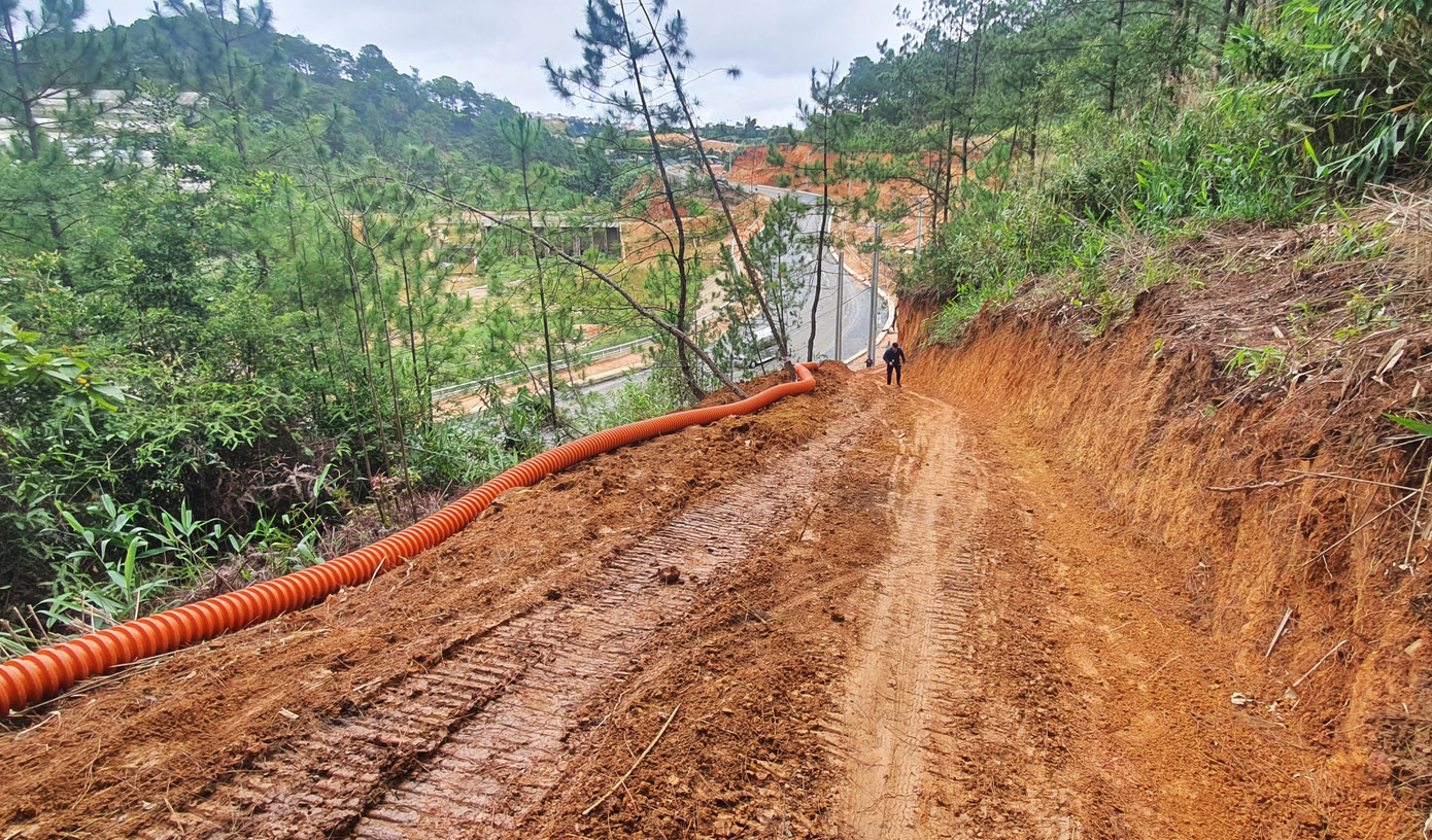 Làm đường trái phép để đấu nối với đường giao thông trong KDL hồ Tuyền Lâm