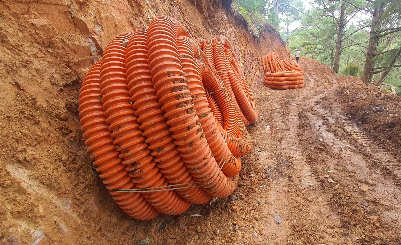 Cơ quan chức năng buộc doanh nghiệp di dời toàn bộ các cuộn cáp ra khỏi rừng