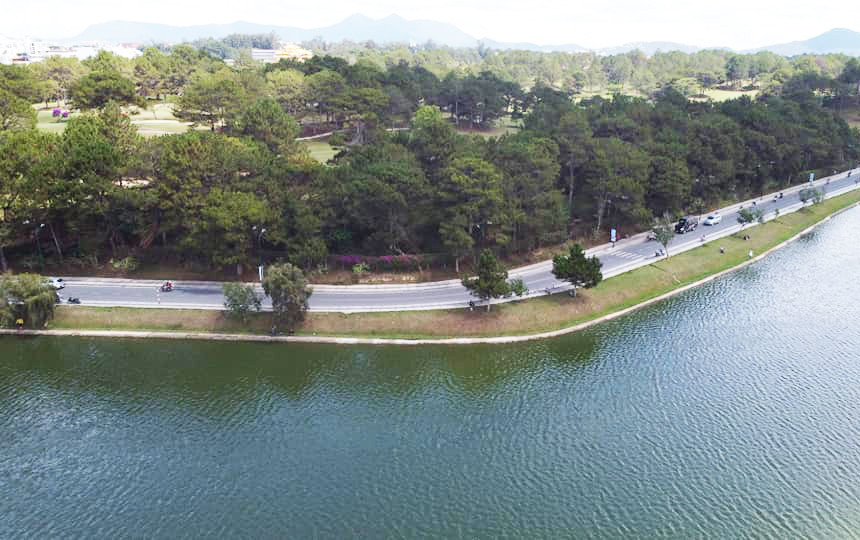 Đường được mở rộng về phía sân golf với chủ trương hạn chế chặt hạ cây thông Đường được mở rộng về phía sân golf với chủ trương hạn chế chặt hạ cây thông