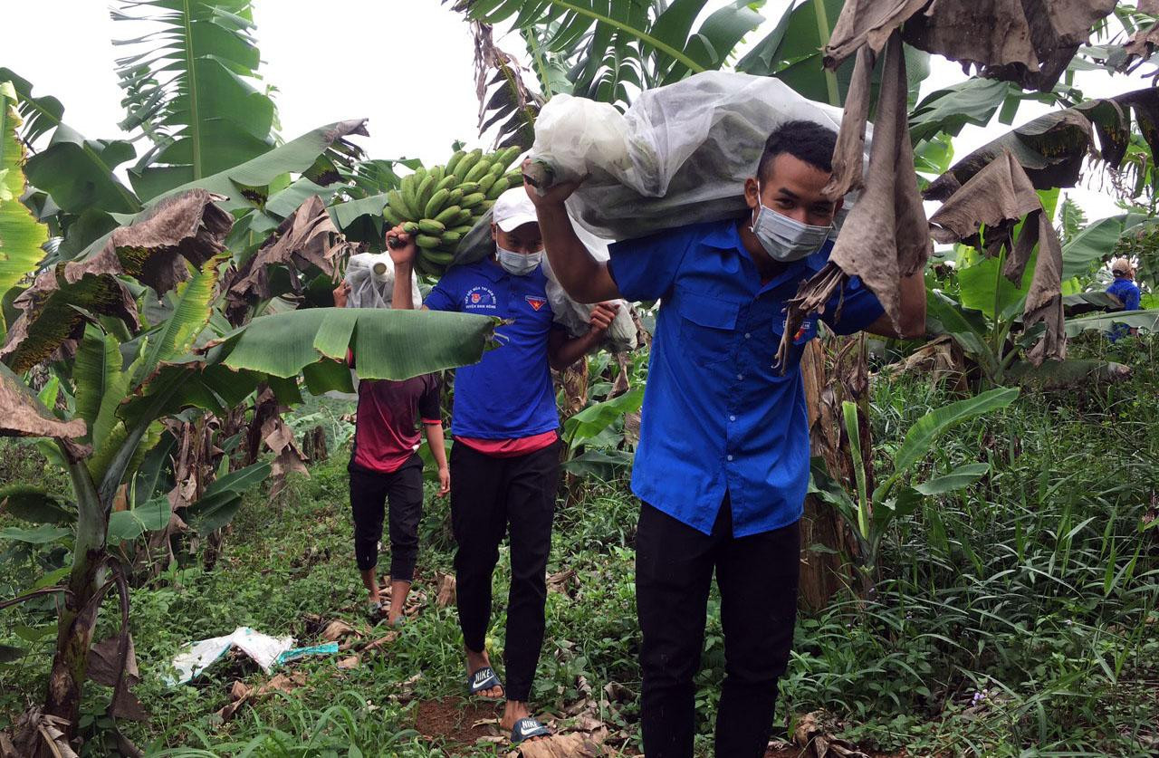 Mồ hôi ướt đẫm vai áo các đoàn viên nhưng nụ cười vẫn rạng rỡ Mồ hôi ướt đẫm vai áo các đoàn viên nhưng nụ cười vẫn rạng rỡ