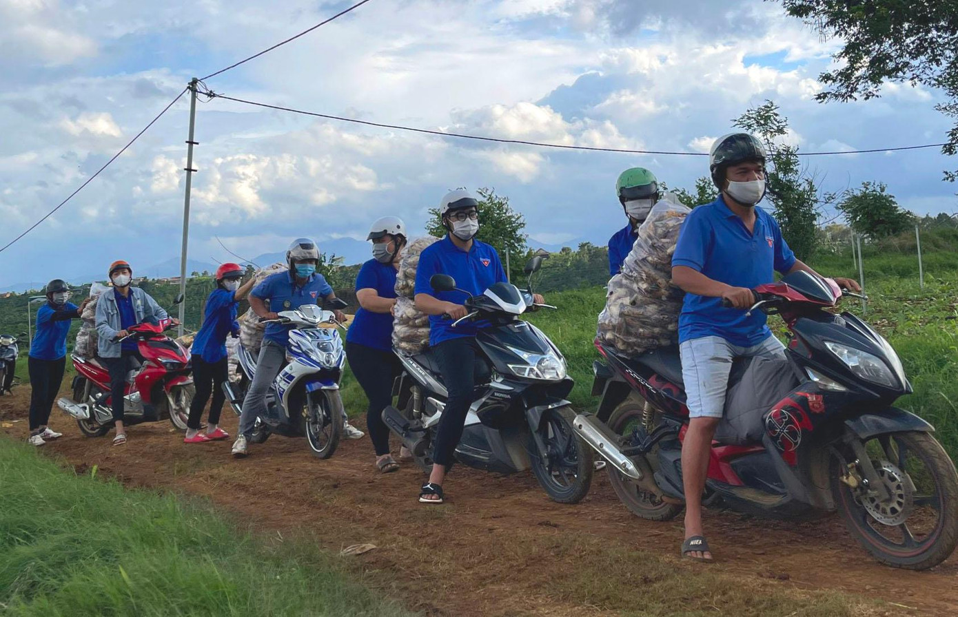 Vận chuyển rau từ vườn ra xe tải Vận chuyển rau từ vườn ra xe tải