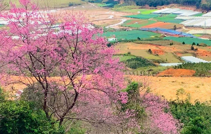 Cảnh sắc tuyệt đẹp ở buôn làng