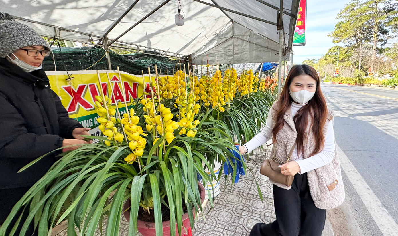 Hoa địa lan được bày bán trên đường Trần Hưng Đạo.