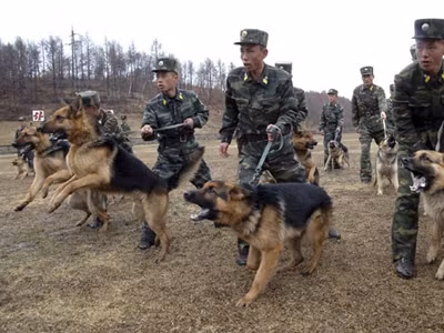 Binh sĩ Triều Tiên và chó nghiệp vụ tham gia diễn tập quân sự hôm 6/4. Ảnh: KCNA