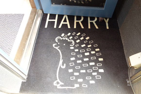 Bên trong quán café nhím độc đáo ở Nhật Bản ảnh 3