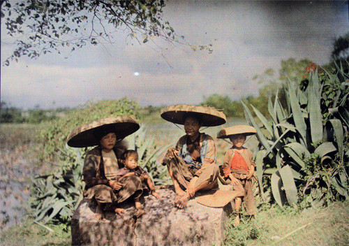  Bốn mẹ con người ăn mày mù lòa ngồi cạnh hàng rào dứa gai xin lòng thương của phật tử tới chùa