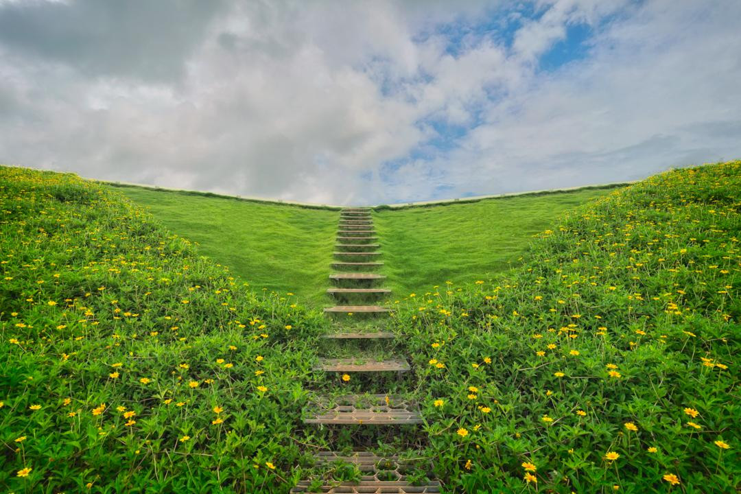 Nếu thoạt nhìn người ta còn lầm tưởng mái nhà là một thảo nguyên rộng lớn và kì vĩ với những dây leo xanh mướt, rủ xuống che phủ một mảng nhà.