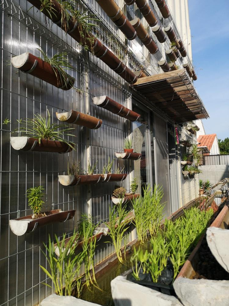 Các giá treo cây ở mặt tiền và mặt sau có tác dụng cách nhiệt cho ngôi nhà vào những ngày hè oi bức.