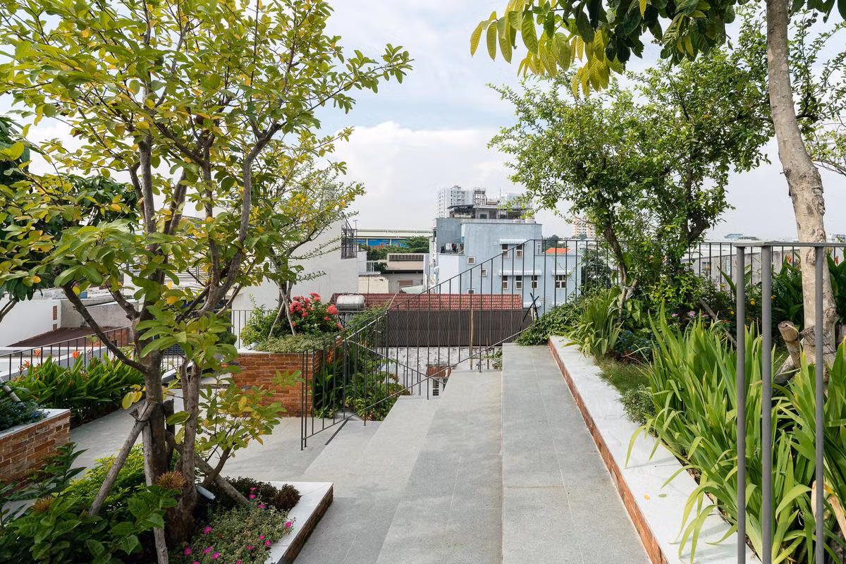 Các thành viên trong nhà có thể tập thể dục buổi sáng hoặc chiều, thư giãn dưới bóng cây ngay trên nóc nhà mà như ra công viên, nhất là trong những ngày giãn cách xã hội để phòng chống dịch COVID -19 như thế này.