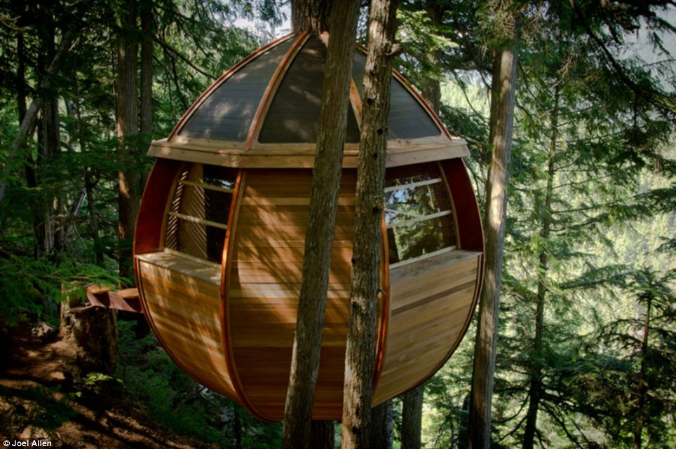Joel Allen đã xây dựng Treehouse tại Hemlocks, Whistler, miền Tây Canada.