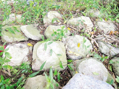 Từ ngày xảy ra biến cố, hễ cứ vật nào làm bằng đá xanh đều được dân làng mang ra gửi ở đình làng