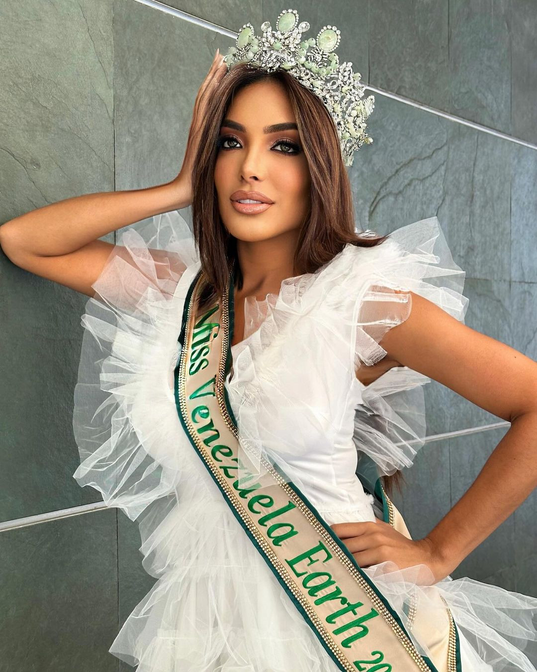 Ngoài ra, dự án cũng tập trung trợ giúp các lĩnh vực còn gặp khó khăn sau thảm kịch Vargas năm 1999.