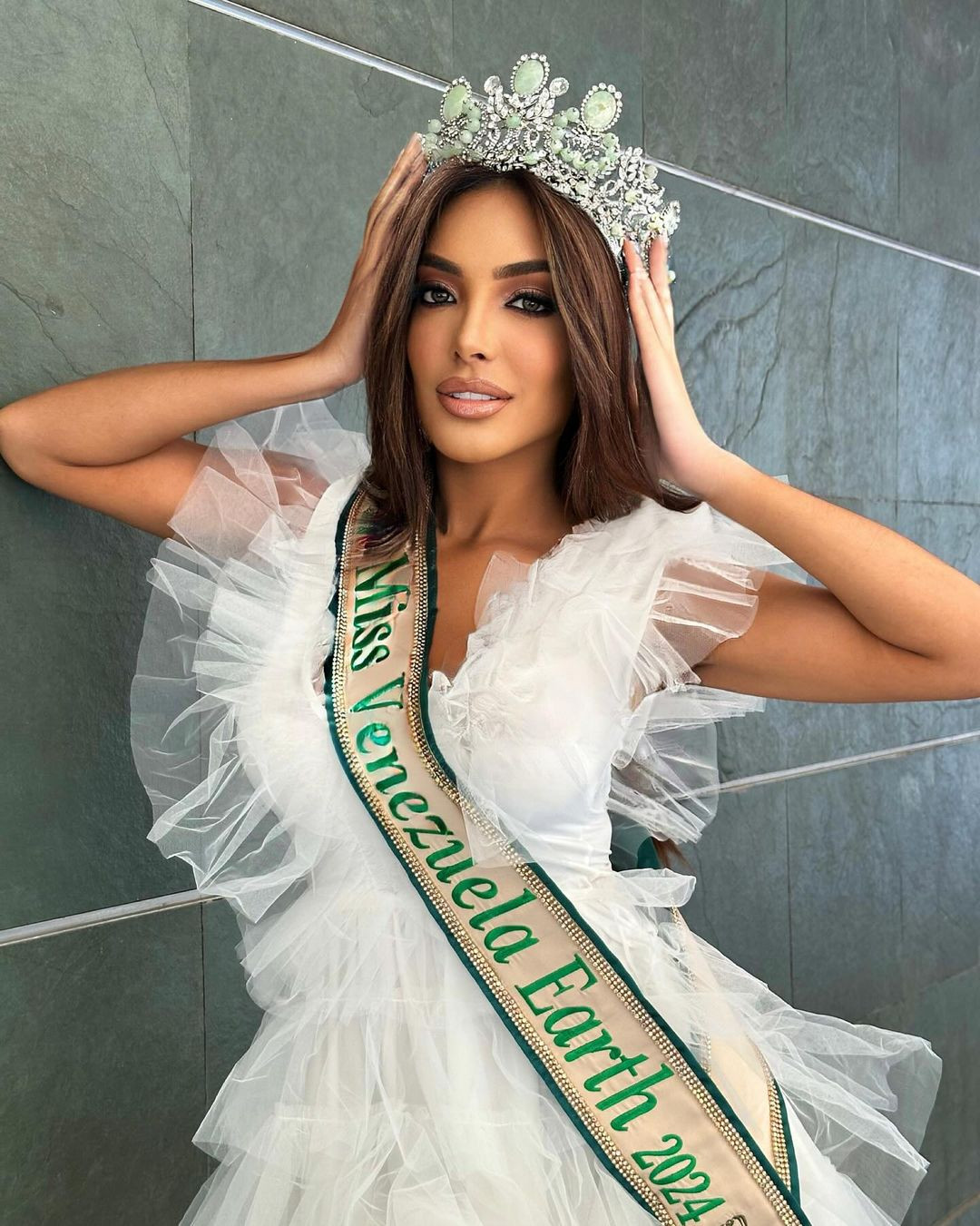 Ngoài ra, dự án cũng tập trung trợ giúp các lĩnh vực còn gặp khó khăn sau thảm kịch Vargas năm 1999.