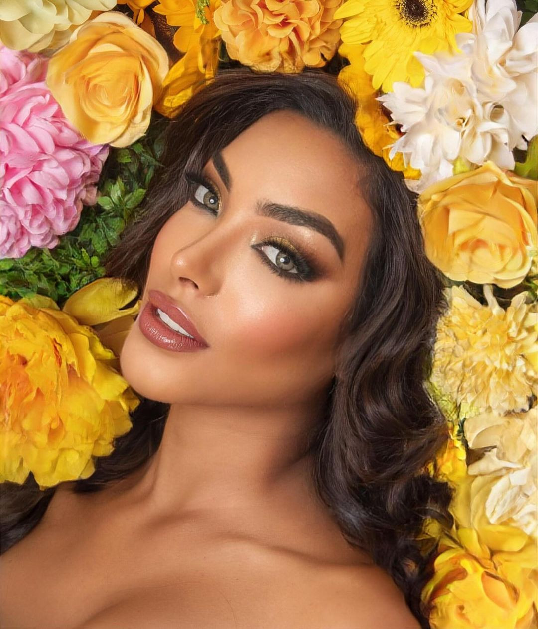 Karleys bắt đầu sự nghiệp thi hoa hậu tại cuộc thi Reinado de los Carnavales Turísticos de La Guaira 2023 với tư cách là đại diện của vùng Catia La Mar và giành vị trí Á hậu 1.