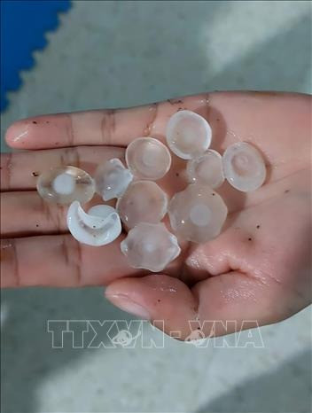 Mưa đá dữ dội trút xuống tại một số địa bàn của huyện Văn Bàn, tỉnh Lào Cai. Ảnh: TTXVN phát.