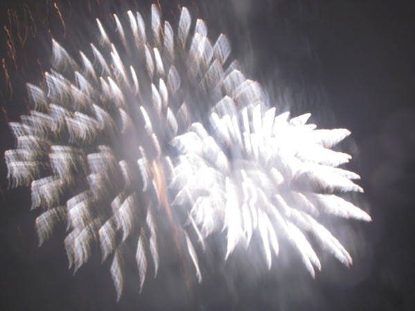 Hai bông hoa hướng dương ngẫu hứng đêm giao thừa.