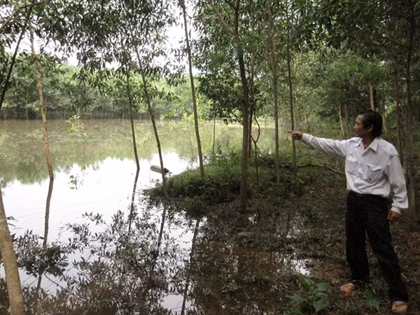 Ông Nguyễn Kim Hợp bên khu đất và ao bị cưỡng chế thu hồi. Ảnh: M.Thùy. Ông Nguyễn Kim Hợp bên khu đất và ao bị cưỡng chế thu hồi. Ảnh: M.Thùy