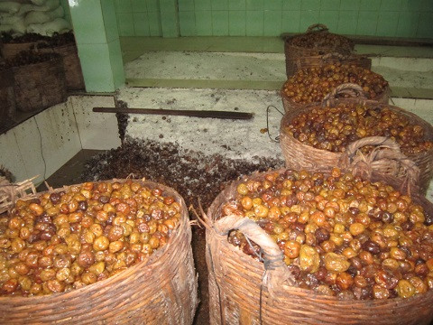 Một cơ sở sản xuất mứt, ô mai quận Bình Tân, TP HCM. Nguyên liệu làm mứt được chứa trong những cần xé đầy cáu bẩn. Một cơ sở sản xuất mứt, ô mai quận Bình Tân, TP HCM. Nguyên liệu làm mứt được chứa trong những cần xé đầy cáu bẩn