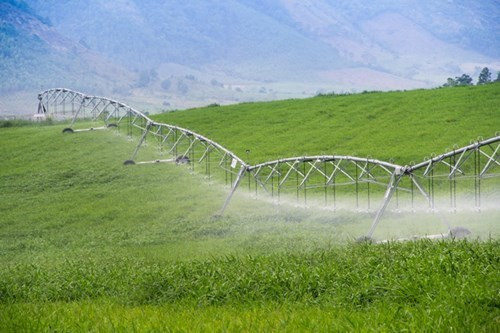 Doanh nhân Thái Hương nói về cách làm nông không “ép” cây, “ép” đất tại APEC ảnh 1
