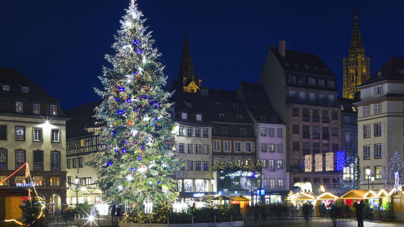 Một trong những cây thông lớn nhất và đẹp nhất ở châu Âu được đặt tại thành phố Strasbourg (Pháp).