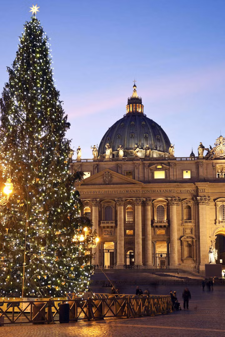 Cây thông cao 30 mét tại Quảng trường Thánh Peter ở Vatican. Cây thông cao 30 mét tại Quảng trường Thánh Peter ở Vatican.
