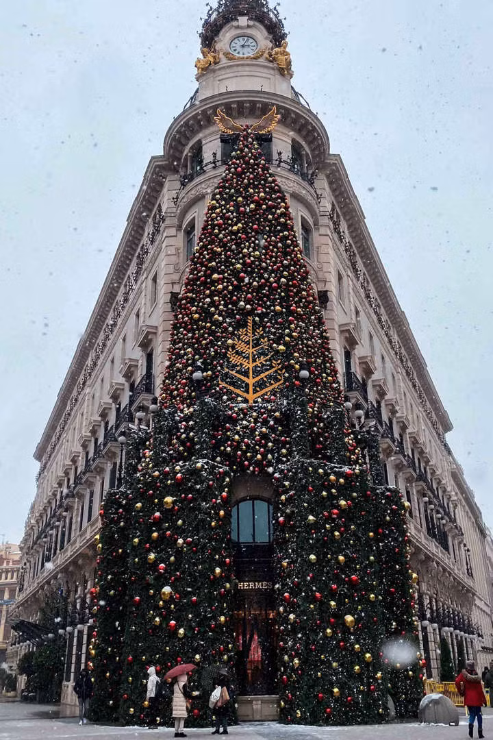 Đây được coi là cây thông Noel sáng tạo nhất ở Madrid (Tây Ban Nha) khi được đặt ở mặt tiền của khách sạn Bốn Mùa. Đây được coi là cây thông Noel sáng tạo nhất ở Madrid (Tây Ban Nha) khi được đặt ở mặt tiền của khách sạn Bốn Mùa.