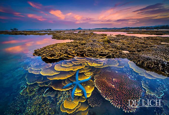 Sắc màu của biển. Ảnh: Trần Bảo Hòa. Sắc màu của biển. Ảnh: Trần Bảo Hòa.