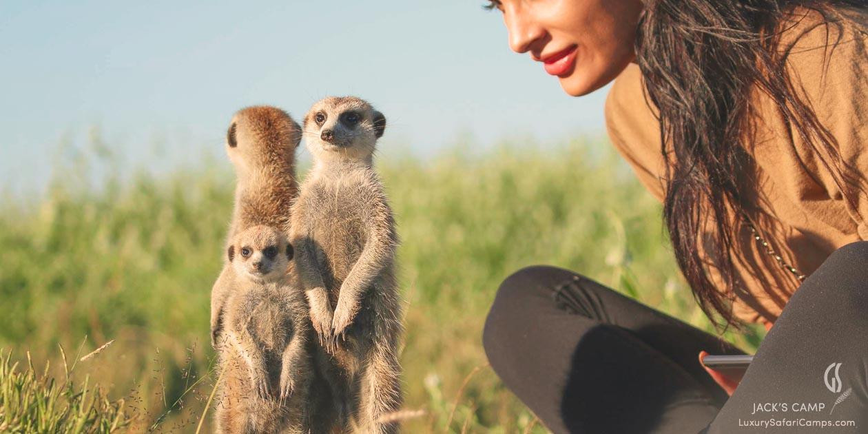 Khu cắm trại Jack's Camp trong sa mạc Kalahari ở Botswana. Ảnh: Jack's Camp. Khu cắm trại Jack's Camp trong sa mạc Kalahari ở Botswana. Ảnh: Jack's Camp.