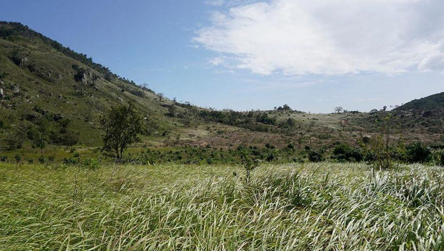 Khu vực lô đất tại núi Hòn Dồ - Nha Trang được địa phương cấp sổ cho nhiều người. Ảnh CTV