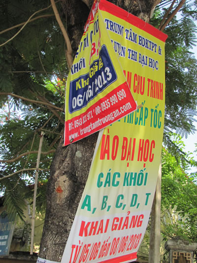 Các băng-rôn quảng cáo lò luyện thi cấp tốc được treo nhan nhản ở các đường trung tâm TP Huế