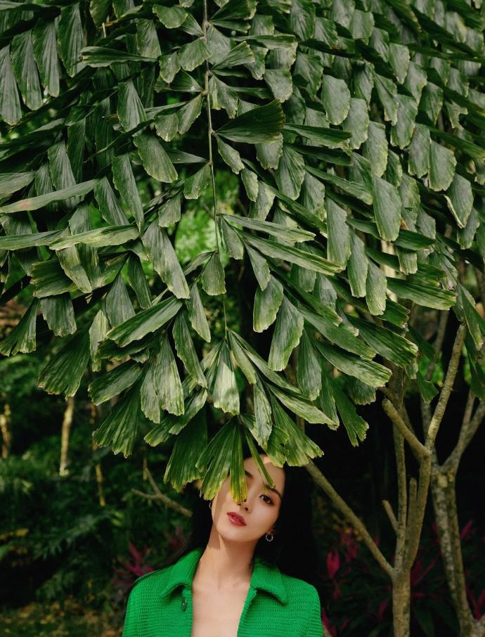 Tuy nhiên, một bài báo gần đây của Sohu cho biết, vấn đề không phải ở mẹ chồng mà do liên quan đến tiền bạc và quan điểm sống khác biệt giữa cặp sao. Theo đó, trong sự nghiệp, Triệu Lệ Dĩnh lấn át chồng về cả danh tiếng, giá trị thương mại và thu nhập. Bên cạnh đó, hoàn cảnh gia đình khác biệt khiến Triệu Lệ Dĩnh rất chú tâm vào công việc, nâng cao giá trị bản thân. Phùng Thiệu Phong lại xem diễn xuất như thú vui. Sự chênh lệch và khác biệt về quan điểm sống khiến hai người nảy sinh nhiều mâu thuẫn, dần dần xa nhau. Có thông tin, tài tử 7x từng cố níu kéo, nhưng Triệu Lệ Dĩnh nổi tiếng quyết đoán, lý trí, không muốn dây dưa mãi chuyện tình cảm. Tuy nhiên, một bài báo gần đây của Sohu cho biết, vấn đề không phải ở mẹ chồng mà do liên quan đến tiền bạc và quan điểm sống khác biệt giữa cặp sao. Theo đó, trong sự nghiệp, Triệu Lệ Dĩnh lấn át chồng về cả danh tiếng, giá trị thương mại và thu nhập. Bên cạnh đó, hoàn cảnh gia đình khác biệt khiến Triệu Lệ Dĩnh rất chú tâm vào công việc, nâng cao giá trị bản thân. Phùng Thiệu Phong lại xem diễn xuất như thú vui. Sự chênh lệch và khác biệt về quan điểm sống khiến hai người nảy sinh nhiều mâu thuẫn, dần dần xa nhau. Có thông tin, tài tử 7x từng cố níu kéo, nhưng Triệu Lệ Dĩnh nổi tiếng quyết đoán, lý trí, không muốn dây dưa mãi chuyện tình cảm.