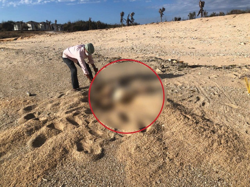 Một phần thi thể phụ nữ dạt vào bãi biển thôn Mỹ Hiệp. Ảnh: CAND.