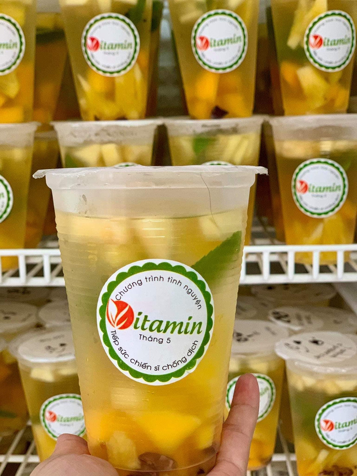 Logo nhận diện Vitamin tháng 5